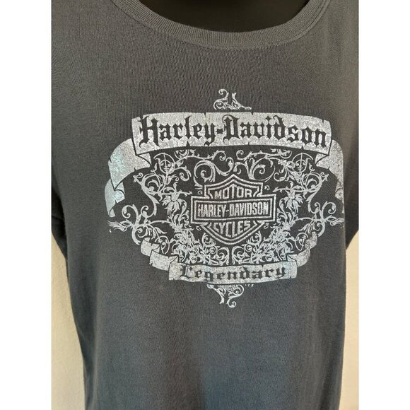Harley Davidson Metallic Graphic Charlotte NC Grey Tee Shirt Size XL - Picture 2 of 13